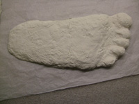 Bigfoot Foot Cast